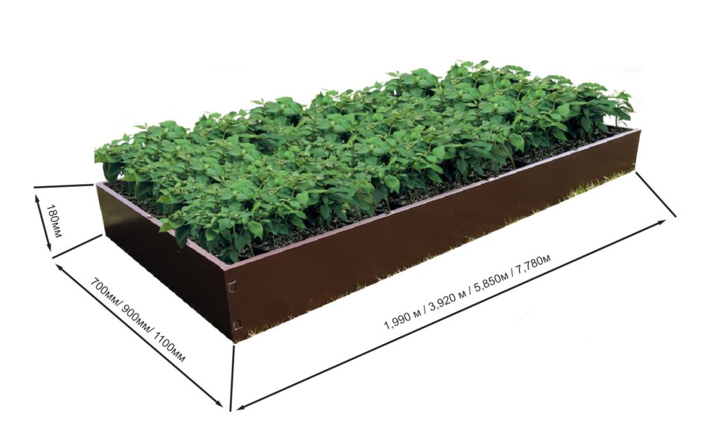 razmery-gryadok-vse-2-rasteniya